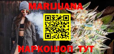 apvp Нальчик